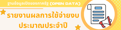 11รายงานผลการใช้จ่ายงบประมาณประจำปี
